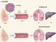 外泌体决定肿瘤转移的器官特异性