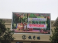 重庆大学附属肿瘤医院营养科2019“全民营养周”系列活动圆满结束